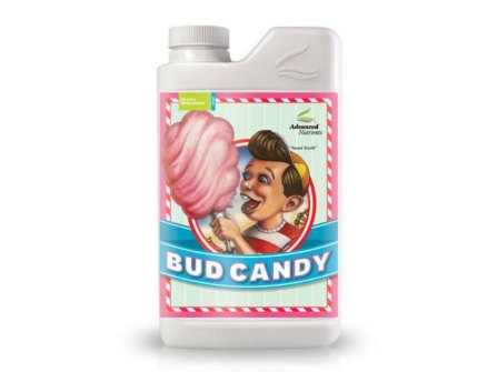 bud-candy