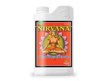 nirvana