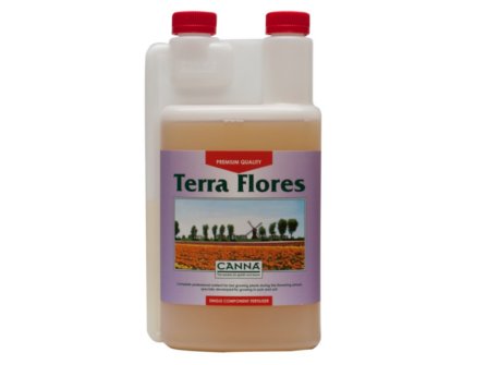 canna-terra-flores