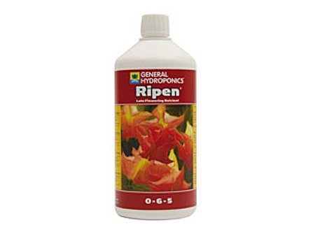 ghe-ripen