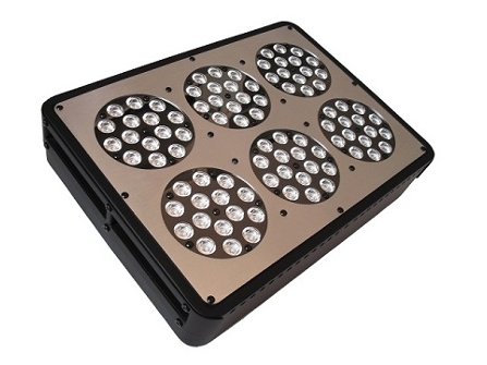 ortoled-6-led-200