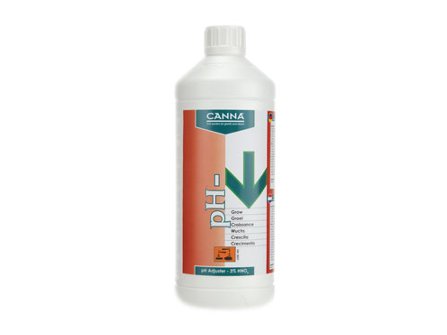 canna-ph-min-bloom