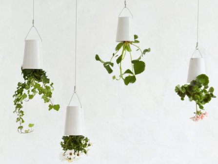 sky-planter