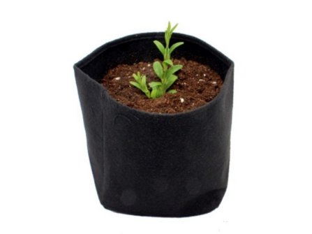 vaso-root-tex